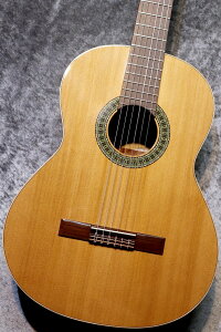 Paco Castillo / pREJXeB[W y\tgP[XT[rXz201 7/8  635mm #2318 yV[gXP[zyʐ^zyrܓX݌ɕiz