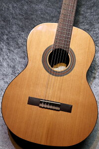 Orpheus Valley Guitars Fiesta F65C  / [YEbh #056yʐ^zyrܓX݌ɕiz