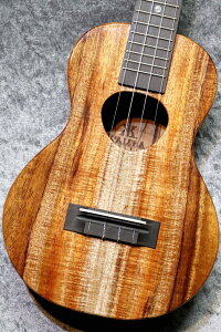 Koaloha KCM-00 �y�R���T�[�g�z�y���f�̃J�[���[�́z�y�����ʐ^�z�y2026�N���z�y�r�ܓX�݌ɕi�z