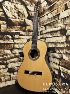 Juan Hernandez zAEGifX Concierto 630 S  y{{X2F ݌ɕiz