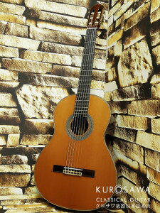 ARIA AA A-100Cy{{X2F ݌ɕiz