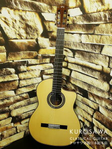 Cordoba Rho GK Pro Negra GKvlO tRGKbg y{{X2F ݌ɕiz