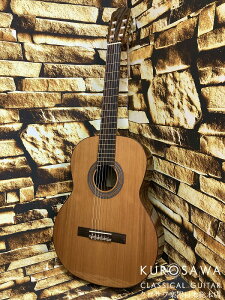 Orpheus Valley Guitars ItFEXE@[EM^[Y F65C E[YEbh y{{X2F݌ɕiz