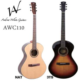 Andrew White Guitars AWC110 NAT/3TS【送料無料】【smtb-u】【ONLINE STORE】