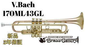 V.Bach 170ML43GLy񂹁zyVizygybgzyobNzy170V[YzyApollo/A|zybJ[zyBrassGalley / uXM[zyECh̐z