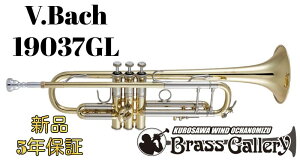 V.Bach 19037GLy񂹁zyVizygybgzyobNzy19037fzybJ[dグzyStradivarius/XgbhzyBrassGalley / uXM[zyECh̐z