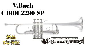V.Bach C190L229F SP�y�����񂹁z�y�V�i�z�yC�ǃg�����y�b�g�z�y�o�b�N�z�yStradivarius / �X�g���b�h�z�yC190�V���[�Y�z�y���Ǌy����X�z�y�E�C���h�����̐��z