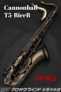 Cannonball T5-BiceByVizyLm{[zyei[TbNXzy̐TbNXtAz