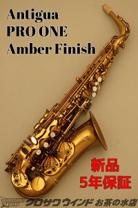 Antigua PRO ONE Amber FinishyVizyAeBOAzyAgTbNXzyvzyAo[bJ[zy̐TbNXtAz