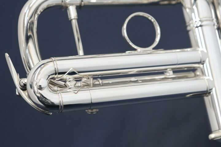 楽天市場】V.Bach C180L 229/25H SP【お取り寄せ】【新品】【C管 