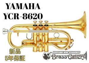 Yamaha YCR-8620yʐYzy񂹁zyVizyEǃRlbgzybJ[dグzyNeo/lIzyzyǊyXzyBrassGalley / uXM[zyECh̐z