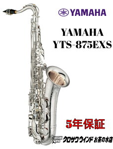 YAMAHA }n YTS-875EXS yVizy}nzyei[TbNXzyNTECh̐z