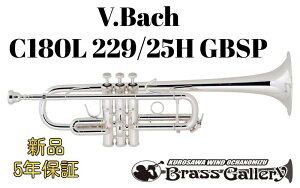 V.Bach C180L 229/25H GBSPy񂹁zyVizyCǃgybgzyobNzyn[ZXzyS[huXxzyStradivarius / XgbhzyzyǊyXzyECh