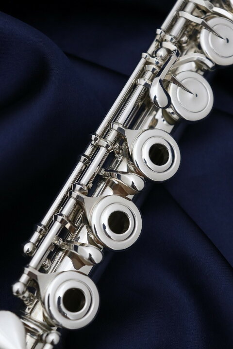 楽天市場】【お取り寄せ】Pearl F-MS925/RBE IL【新品】【インライン 