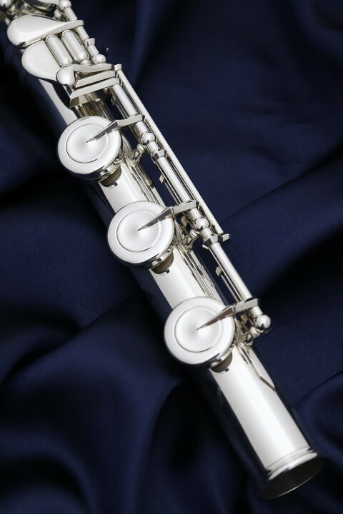 楽天市場】【お取り寄せ】Pearl F-MS925/RBE IL【新品】【インライン 
