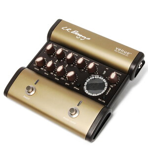 L.R.Baggs Venue D.I.yAR[XeBbNM^[pvAvD.I.zyz ysmtb-uzyONLINE STOREz