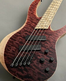 Acacia Guitars 【48回無金利】Atlas Modern 5 Quilted Maple -Red Dip-【NEW】【G-CLUB 渋谷店】