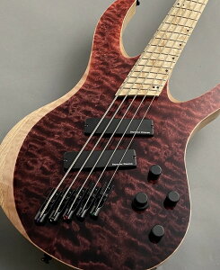 Acacia Guitars 【48回無金利】Atlas Modern 5 Quilted Maple -Red Dip-【NEW】【G-CLUB 渋谷店】