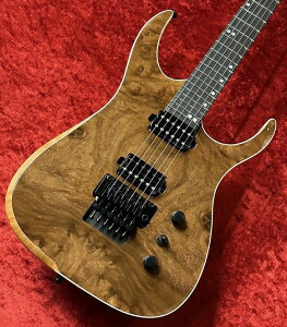 Ormsby Guitars HYPE G6 FLOYD EXO MH WALyG-CLUB aJXz