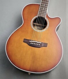 Takamine 【春満開!ご褒美セール!】DMP161C TB【スプルース×ローズウッド】【36回払い無金利】【G-CLUB 渋谷店】