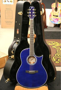 MorrisyOUTLET SALE!z TC-16/SBU #2411011 yt[^CEJb^EFC×V[X[u[zyG-CLUB SHIBUYA 6Fz