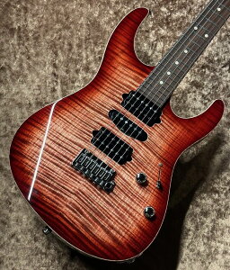 Suhr JE-Line Modern Plus MH(Matching Headstock) -Trans Wine Red Burst- 3.286KgyG-CLUB aJXz