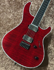 MAYONES Regius 6 -Transparent Red Gloss- ��3.416Kg�yG-CLUB �a�J�X�z