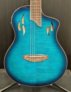 ORTEGA Tour Player RTPDLX-FMAyibg48mmzyGKbgzy[dzy24񕥂܂ŖzyG-CLUB aJXz