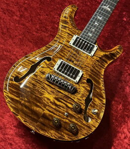 Paul Reed Smith(PRS) Hollowbody II Piezo -Black Gold- ��2.548Kg 2025 Model�yG-CLUB �a�J�X�z