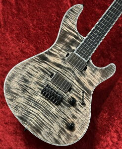 MAYONES Regius 6 -Transparent Jeans Black Gloss- ��3.299Kg�yG-CLUB �a�J�X�z