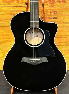 Taylor 214ce BLK Plus�y���C�v���T�C�h&�o�b�N�z�y�I�[���u���b�N�J���[�z�y48�񖳋����z�yG-CLUB �a�J�X�z