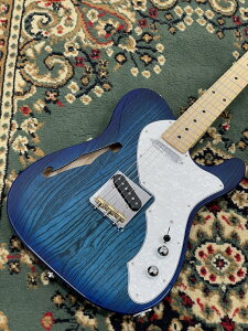 FUJIGEN(FGN) NTE100MAHT-SBB/01 #G250118【G-CLUB UMEDA】