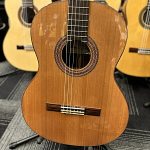 Paco Castillo pREJXeB[W CTM 203NE C E[YEbhyG-CLUB UMEDAz