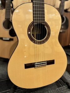 pREJXeB[W Paco Castillo Model:203 E[YEbhyVizyG-CLUB UMEDAz