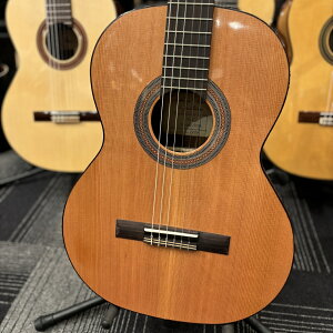 Orpheus Valley Guitars Fiesta F63C  / [YEbhyЕSzyG-CLUB UMEDAz