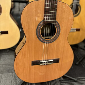 Orpheus Valley Guitars Fiesta F65C  / [YEbhyЕSzyG-CLUB UMEDAz