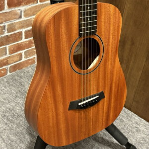 Taylor BT2yЕSEő48񕪊zyG-CLUB UMEDAz