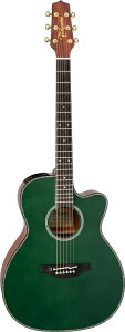 Takamine LTD2025yЕSEő48񕪊zyG-CLUB UMEDAz
