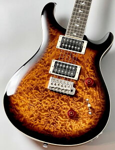 Paul Reed Smith(PRS) SE Custom 24 Quilt Package-Black Gold Sunburst - #CTI F108603 �y�ǖہz�y�����T�E���h�z�yG-CLUB UMEDA�z