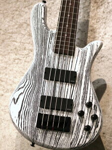 Spector Japan Exclusive NS PULSE5 Satin EX-LTD -White w/Black Fill-yyʁzy[XebhCvlbNzyrܓXz