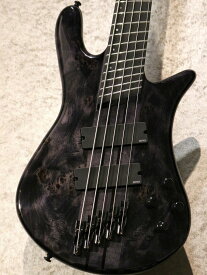 Spector NS Dimension MS 5 -Translucent Black-【特注仕様】【4.26kg】#W250004【池袋店】