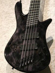 Spector NS Dimension MS 5 -Translucent Black-ydlzy4.26kgz#W250004yrܓXz