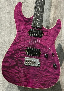 Red House Seeker S/HH Trans PurpleynI̋ɖۃLggbvzy3.38kgzyrܓXz
