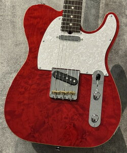 Provision PTEN-2025SM-QM/ALD Seethrough Redy3.42kgzyrܓXz