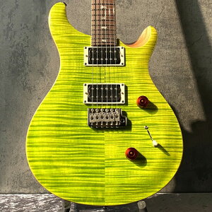 Paul Reed Smith(PRS) yFߌ́zSE Custom24 -Eriza Verde- #CTIG005747y3.55kgzy2025NzyJ[zyrܓXz