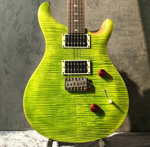 Paul Reed Smith(PRS) SE Custom24 -Eriza Verde- #CTIG001687y3.51kgzy2025NzyJ[zyrܓXz