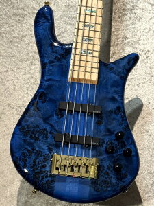 Spector Euro 5 CST Black & Blue w/White Back Gloss �y�y��3.98kg�z�y�|�v���o�[���g�b�v!�z�y�X���[�l�b�N�z�y�r�ܓX�z