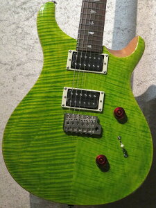 Paul Reed Smith(PRS)yJ[zSE Custom24 -Eriza Verde- #G005751y3.39kgzy2024NzyrܓXz
