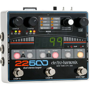 electro-harmonix 22500 Stereo Looper [Dual Stereo Looper] (�X�e���I���[�p�[)(���\���t��)�yONLINE STORE�z