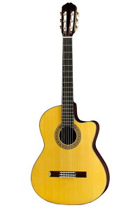 Regular Model [CE-3]